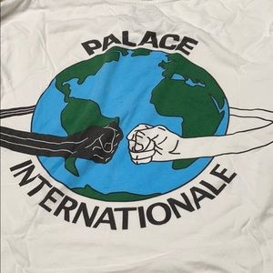 Palace long sleeve shirt